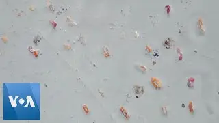 Drone Footage Shows Mass Graves Along Riverbed in India
