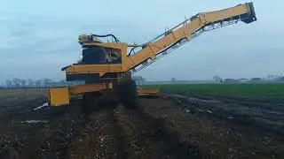 Kampania buraczana z Opalenicy  wywóz buraków 2k17
