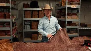 Behind the Beans - Cutting Room