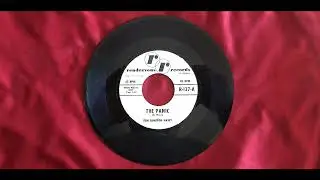 Ron Cameron Nasey The Panic & The Stop