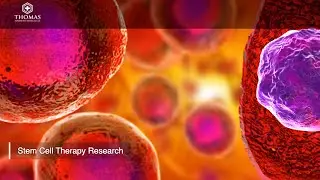 Using Stem Cells for the Regeneration of Damaged Organs and Tissue