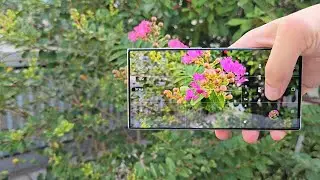 You can always trust Samsung's imaging capabilities! Digital Technology Samsung Samsung S23Ultra