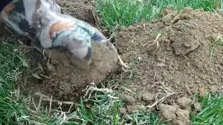 CZ3D Detecting an old football field