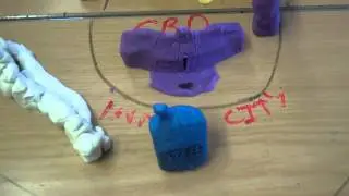 Burgess Model with Play-doh