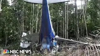 New details on Amazon jungle plane crash and children who survived