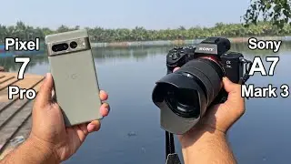 Pixel 7 Pro Vs DSLR Camera Test | Pixel 7 Pro Vs Sony Alpha A7iii Mirrorless Camera