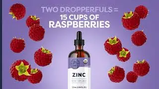 Vimergy Organic Liquid Zinc 16x9  LLC SN 233775