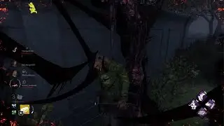 DBD with the boys