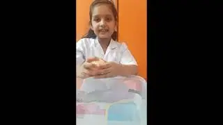 Kids Science Experiment : Sink and Float Orange | Why Orange float in water and sink when peeled?