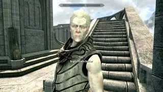 Skyrim: Knight-Paladin Gelebor