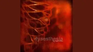 dysesthesia (Remix)