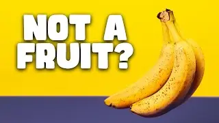 The Truth: Why a Banana is NOT a Fruit! 🍌 (Strange Facts Explained) #bananafacts  #weirdfacts