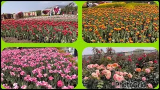 Amazing Flower Garden  in Taiwan/ Chung-She flower garden/Simply Gardening