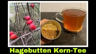 Kernlestee - Tee aus Kernen der Hagebutte | Selbstversorgung: vergessene Rezepte