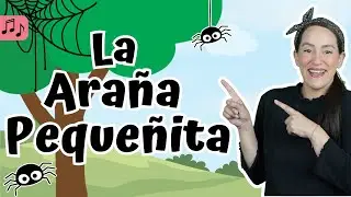 La Ara&ntilde;a Peque&ntilde;ita | Canta con Miss Vale | Canci&oacute;n Infantil | Spanish Children&rsquo;s Song