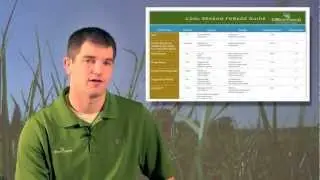 Millborn's 2013 Spring Forage Line Up