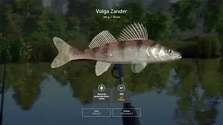 Russian Fishing 4 Float 2022 - Ep 37 -  69 silver day bolo fishing at WInding