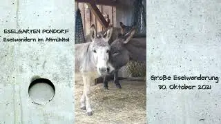Eselwanderung im Altmühltal Oktober 2021