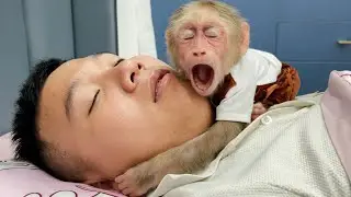 Monkey Cubis loves Dad so much!