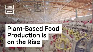 How to Re-Engineer Plant-Based Food Production
