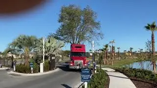 Live Oak Transplant 5/The Tree Planters/Installing Large Trees and Palms in Florida For 50 Years