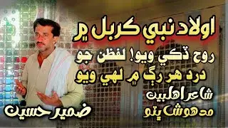 New Noha || Aulad e Nabi saww Jo Karbal Mean | best Sindhi Noha | #noha #fidak9