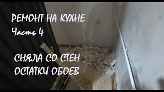 РЕМОНТ КУХНИ в нашем доме Часть 4 Очистка стен от остатков ОБОЕВ СНЕГОПАД хлопьями!_15.01.2026