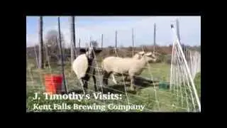 Visit to Kent Falls Brewing Company