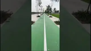 حديقة الدولفين | 🐬 Dolphin park (Abu Dhabi)