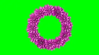 Flower Frame Green Screen | Ladila screen Dhamal ||