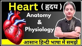 Heart ( हृदय ) |Anatomy and Physiology in Hindi| Layers |GNM | Bsc.Nursing | Varsha Nursing Academy
