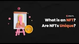 What is an NFT || What the hell is an nft ?
