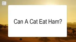 Can A Cat Eat Ham