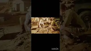 Artifacts  Brush and Tools. Discovery of Ancient Civilization Temple, Architecture, Fossil Remains