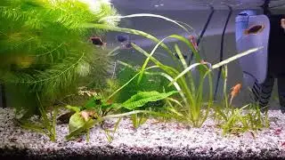 WATERHOME !