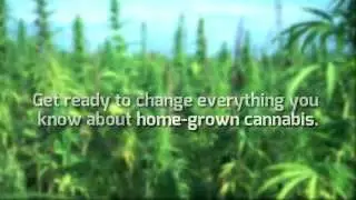 zigrow - Homegrown technology (updated video)