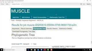 Analysis of Protein Sequences , Bioinformatics, BS Biotech 4th ( By Mr. Amjad Gull)