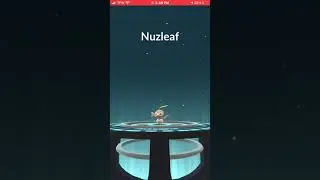 Seedot Evolves