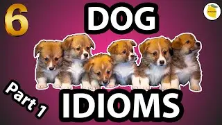 Dog Idioms - Part 1 | Most Common English Idioms (Easy to Use in Daily Conversations) | #20