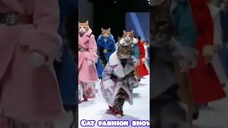 Glamorous Cat Fashion Show 🐱✨ Stylish Cats Walk the Runway Like Supermodels