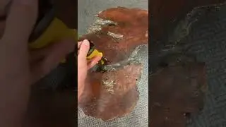 Dewalt hammer tacker review