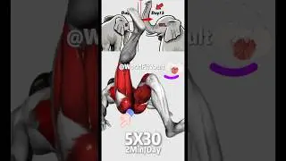 Quick and Effective kegel Exercise For Men !! Improve Strength + Stamina! #physiocare #stamina #fyp