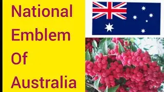 What are National Emblem of Australia/National Emblem of Australia/ National symbols of Australia/