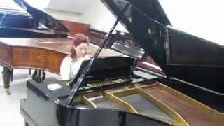 Horugel grand piano only &euro;3995!!