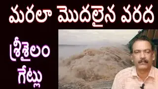 Krishna River Flood Report Srisailam Dam Inflow || Jurala Project Flood Almatti dam Nagarjunasagar