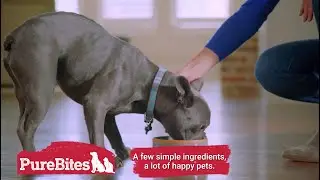 PureBites Wet Treats and Toppers for Dogs