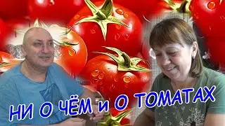 НИ О ЧЁМ и О ТOМАТАХ