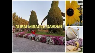 DUBAI MIRACLE GARDEN 2021//PLACES TO VISIT IN DUBAI#roadto1k
