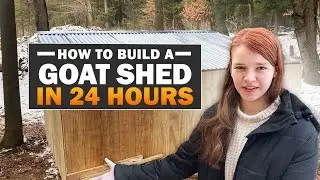 How to Build a Goat Shed in 24 hours!