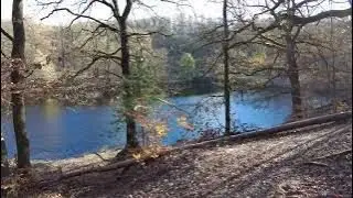 Coswig in Sachsen -  Spitzgrund: Fuchsberg. Spitzberg, Spitzgrundteich, Lockwitzbach